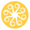MesoEx